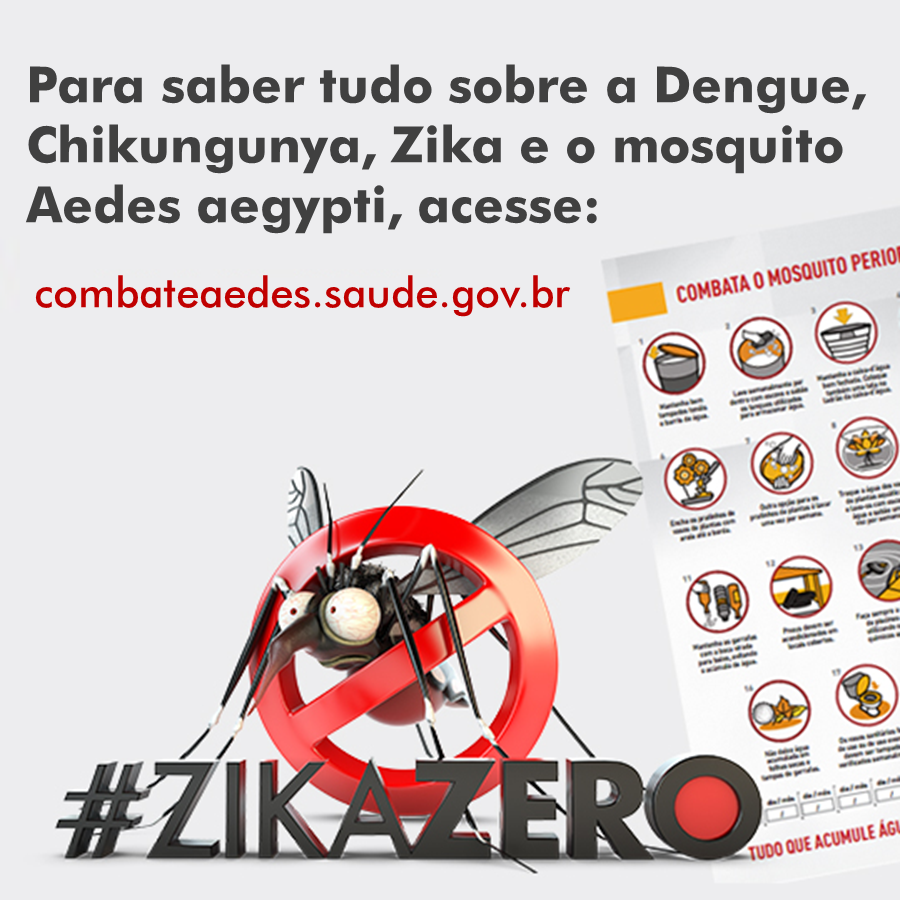 controle de pragas curitiba todos contra a dengue